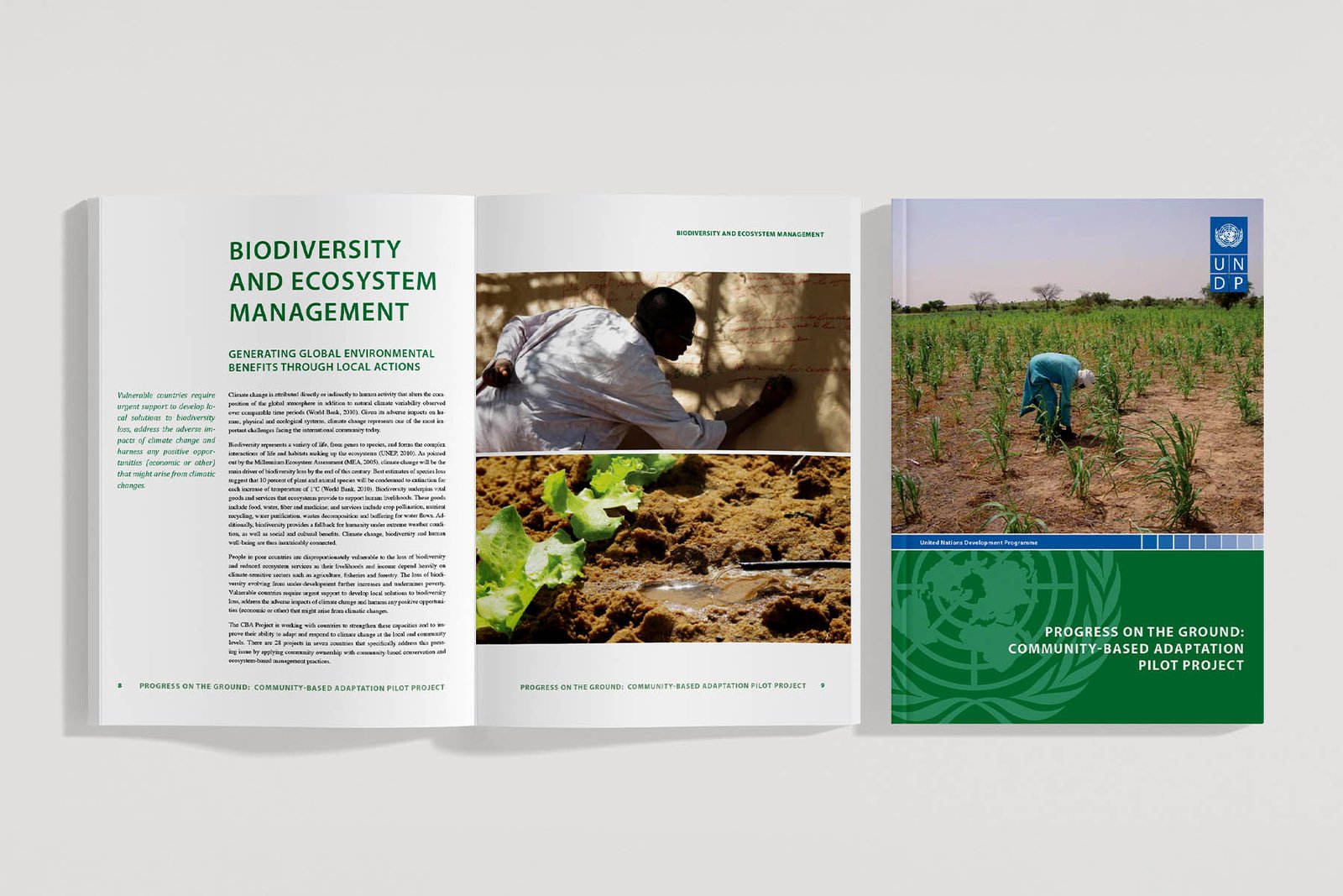 UNDP Human Development Reports: Designing Data With Global Impact: project artwork 2 of 2