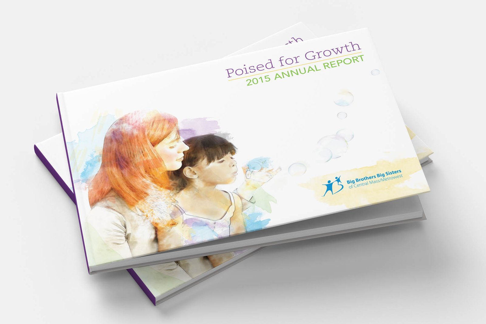 Giving Donors a Clearer View of the Mission: project artwork 3 of 3
